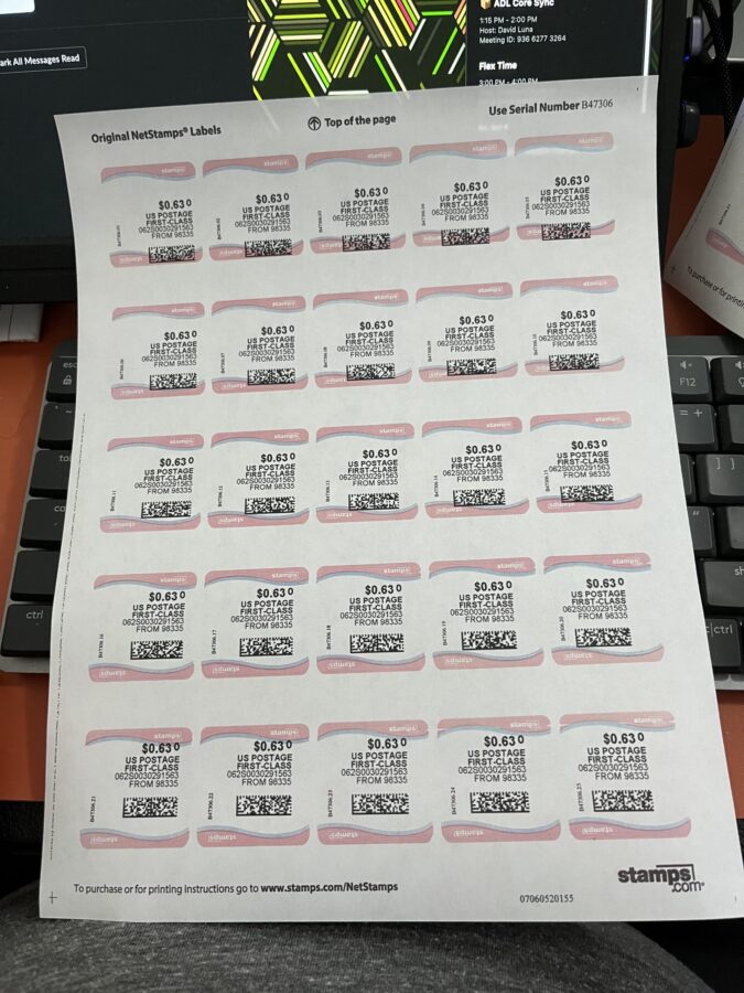 A test sheet of NetStamps printed at the wrong scale so that every stamp is misaligned, most unusable.